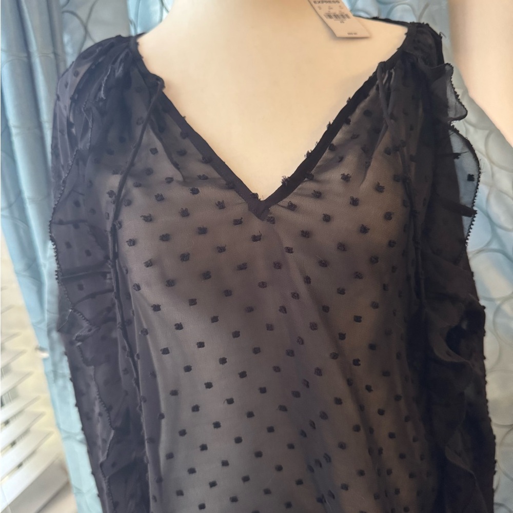 Express Black Sheer Blouse